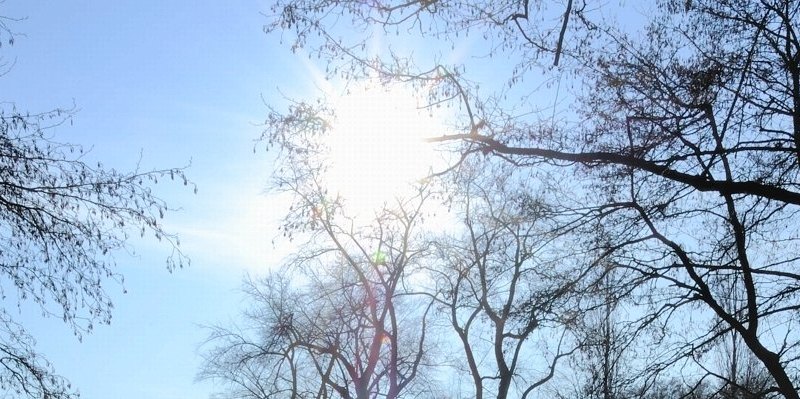 Winterspaziergang durch den Stadtpark in_0--656x240.jpg