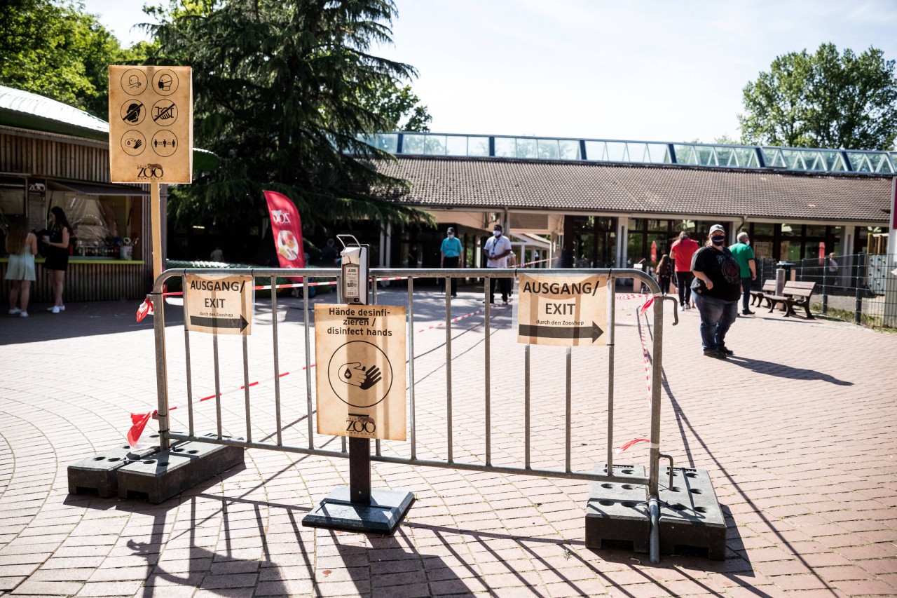 Süße Neuigkeiten aus dem Zoo Dortmund.