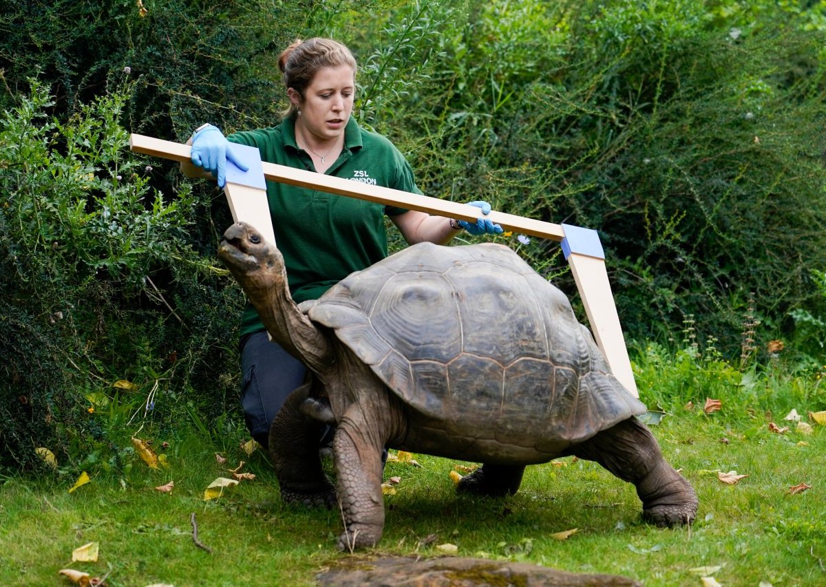 Zoo Dortmund Tag des Tierpflegers.jpg