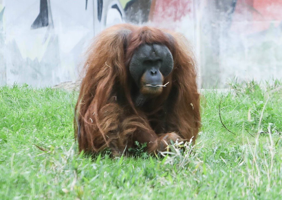 Zoo Dortmund Tierpark.jpg