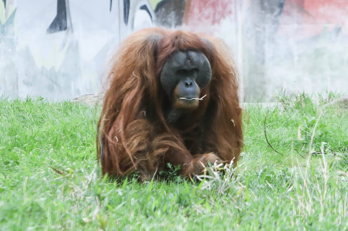 Zoo Dortmund Tierpark.jpg