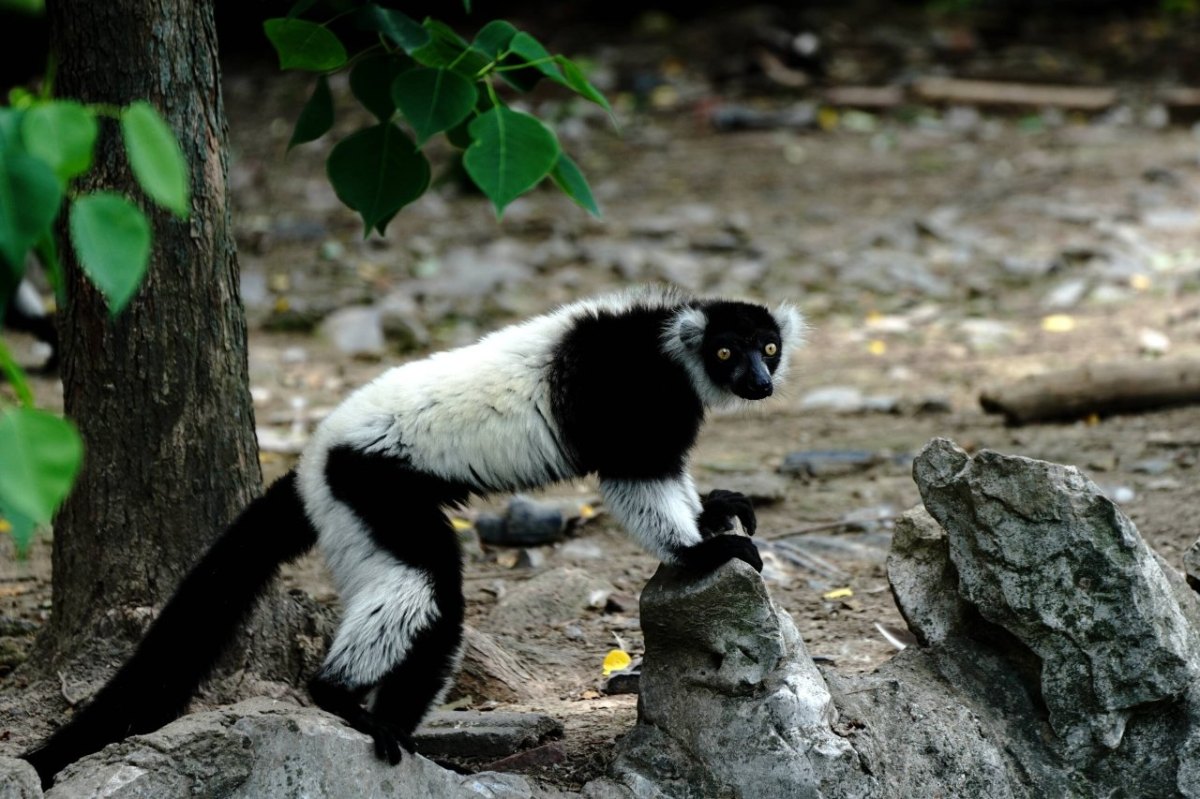 Zoo Duisburg