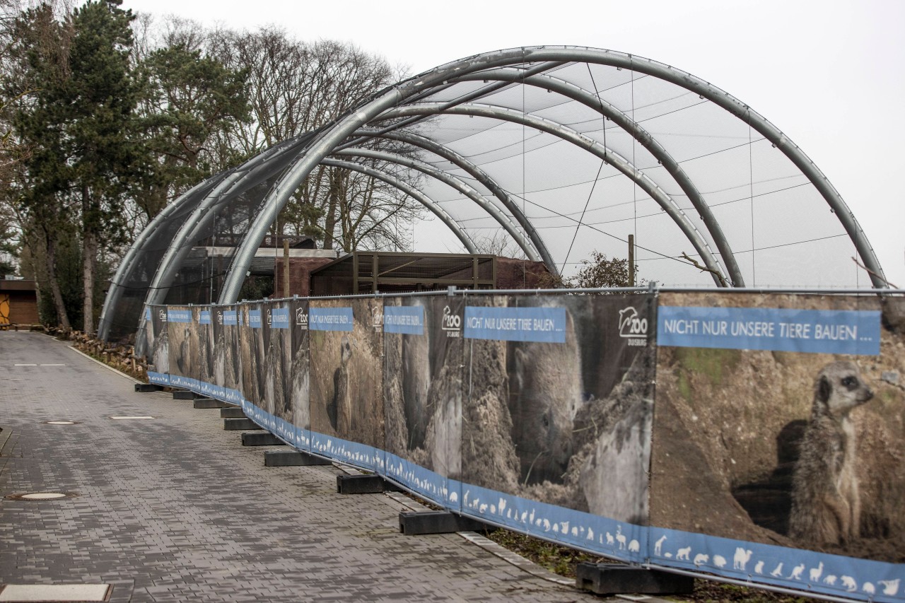 Der Zoo Duisburg muss den Eintritt erhöhen. (Archivbild)