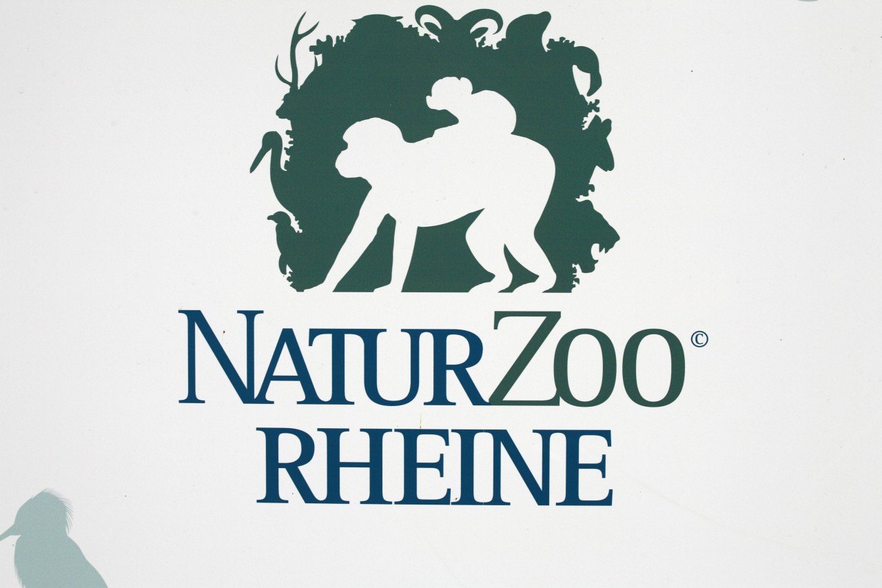 Zoo mit Hund in NRW: Auch hier lohnt sich ein Besuch. (Symbolbild)
