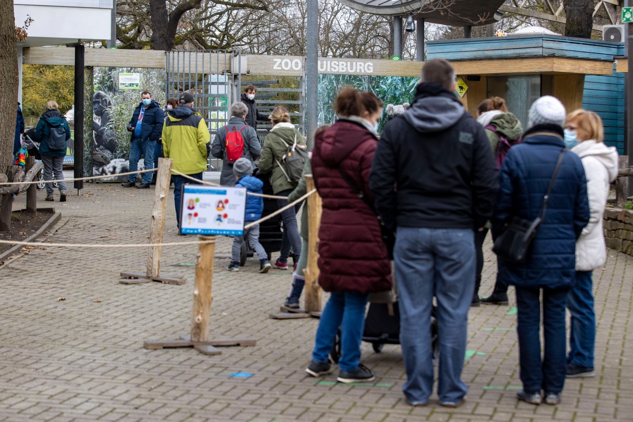 Zoo mit Hund in NRW: In Duisburg darf dein Hund nur an bestimmten Tag mit in den Zoo. (Symbolbild)