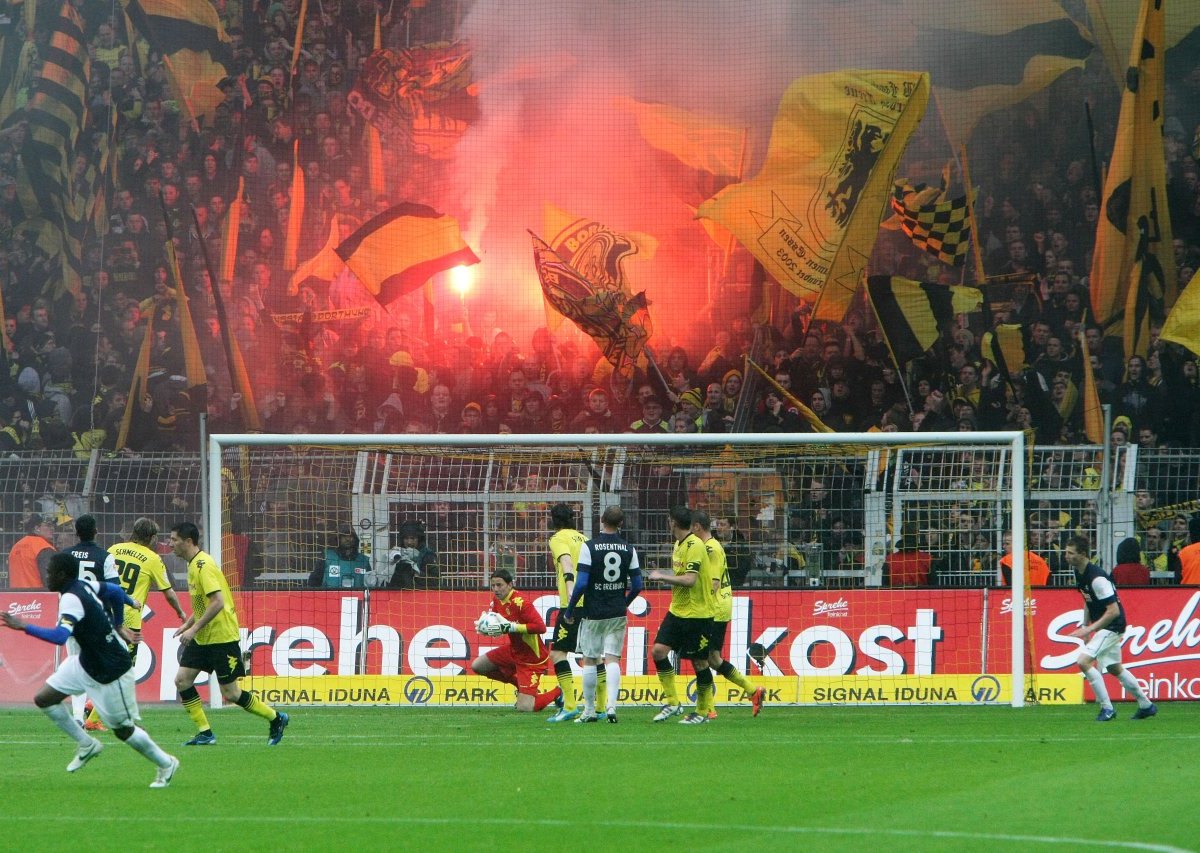 bengalos_bvb.jpg