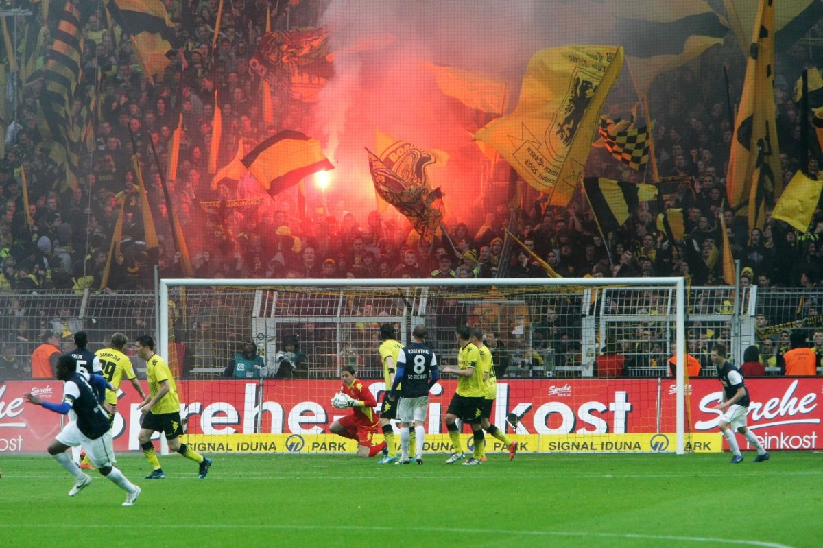 bengalos_bvb.jpg