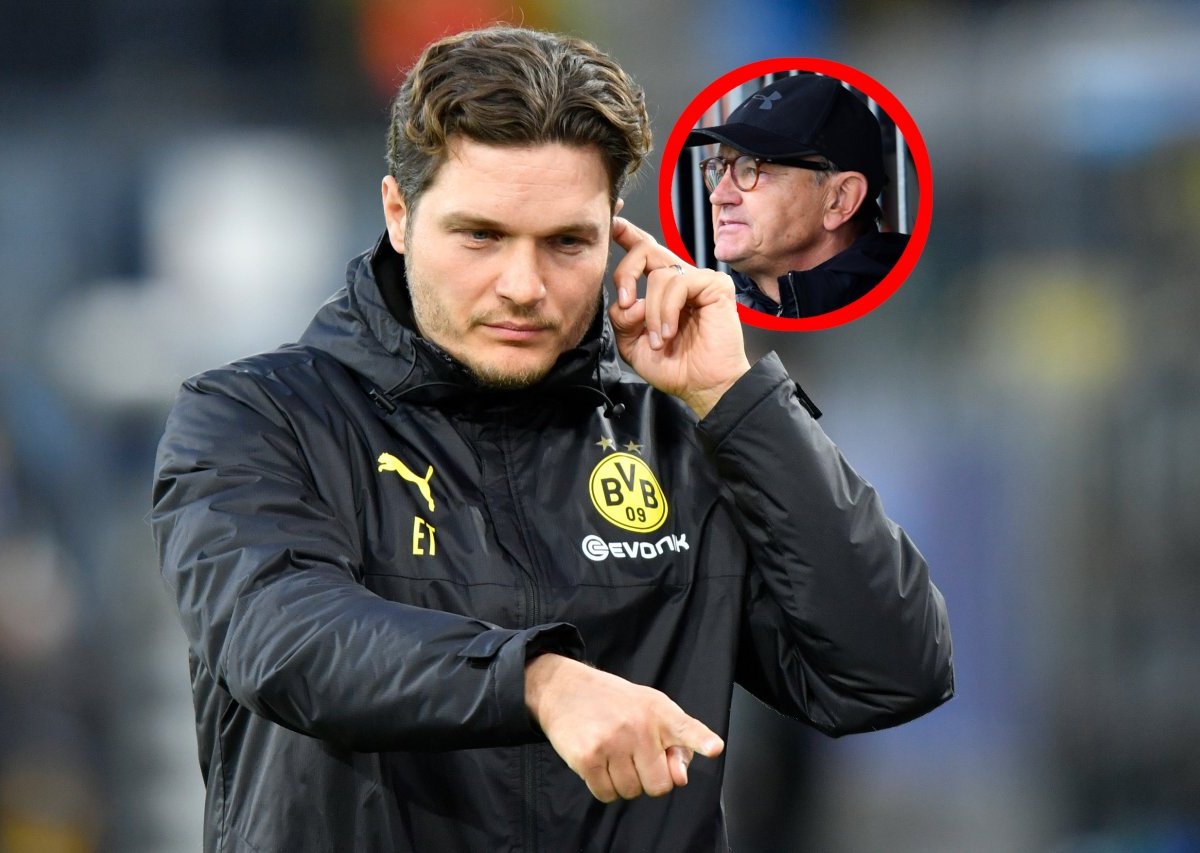 borussia-dortmund-lienen-terzic.jpg
