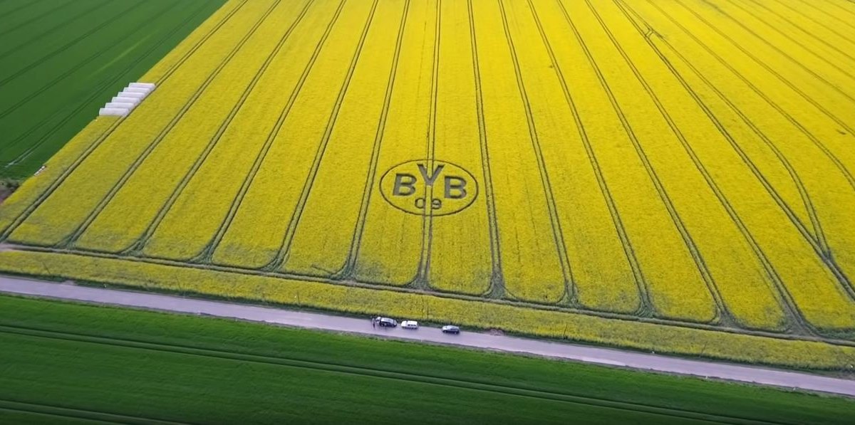 bvb-borussia-dortmund-logo-feld-rapsfeld