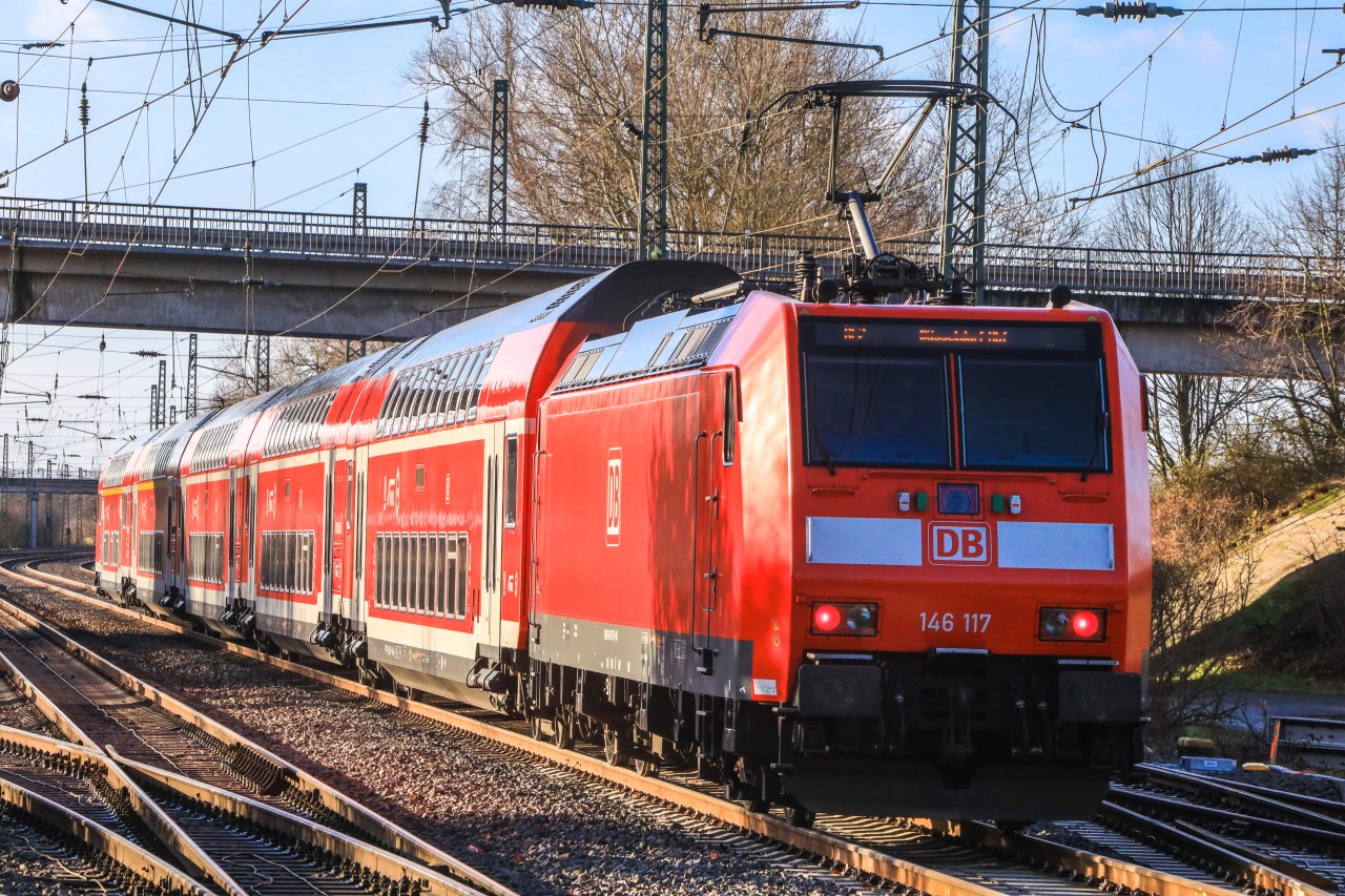 Der Grünschnitt vor ihrer Haustür hat eine Dortmunderin erschreckt. (Symbolbild)