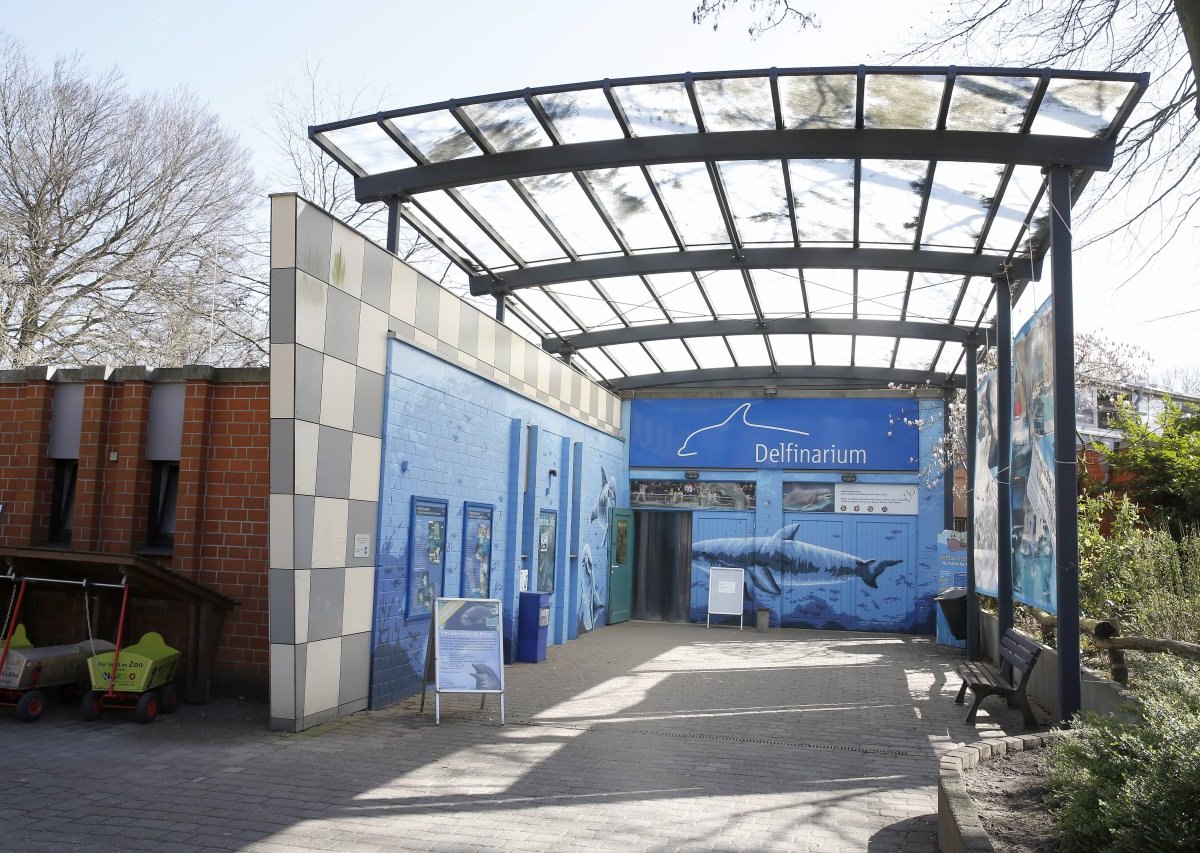 delfinarium-duisburg.jpg