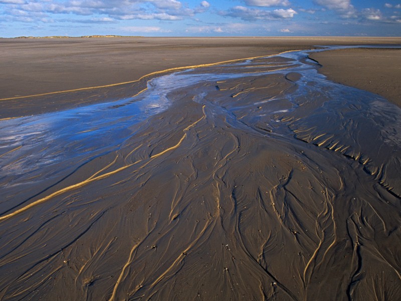 Drei Wattenmeer-Nationalparks gibt es in Deutschland - in Schleswig-Holstein, Niedersachsen und Hamburg. 