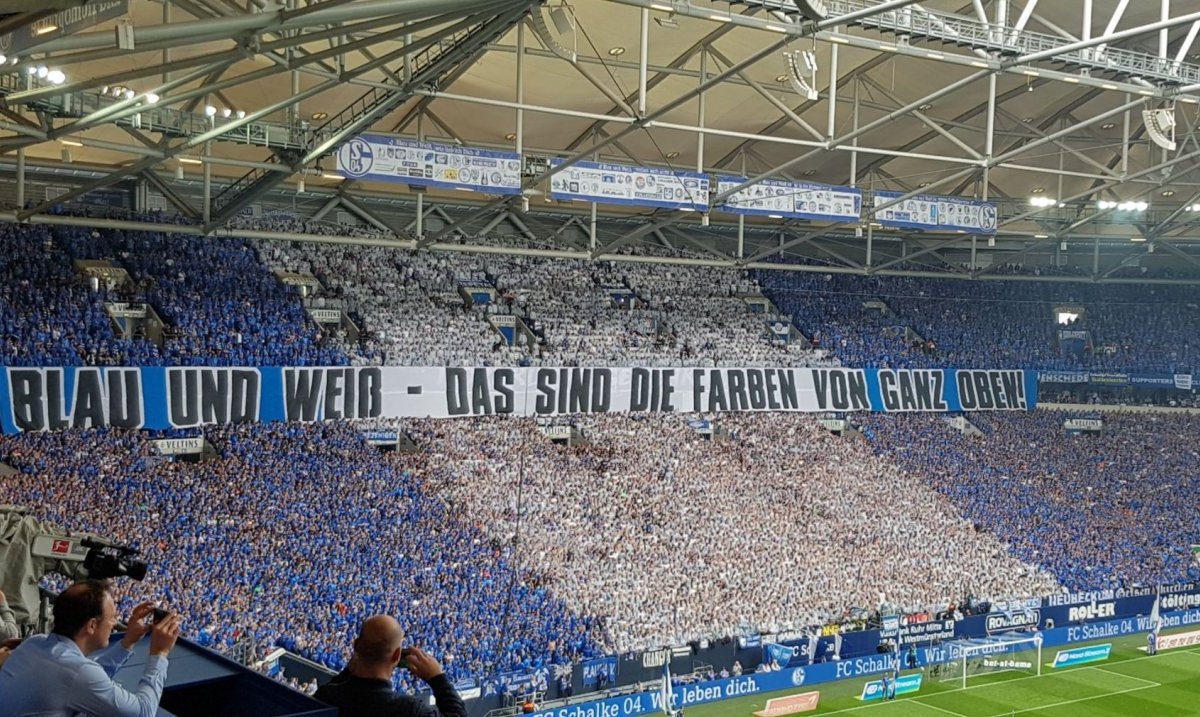 fc schalke 04 bvb borussia dortmund