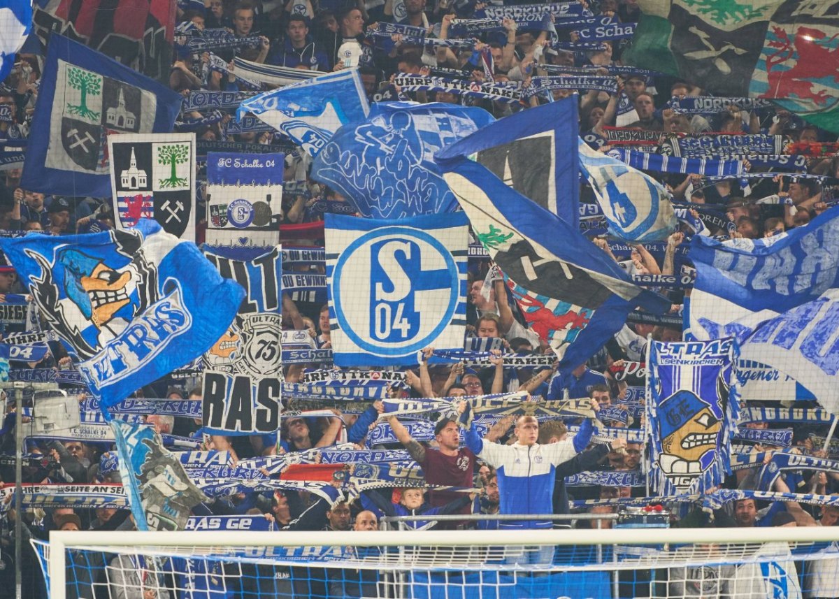 fc-schalke-04-ultras-petition