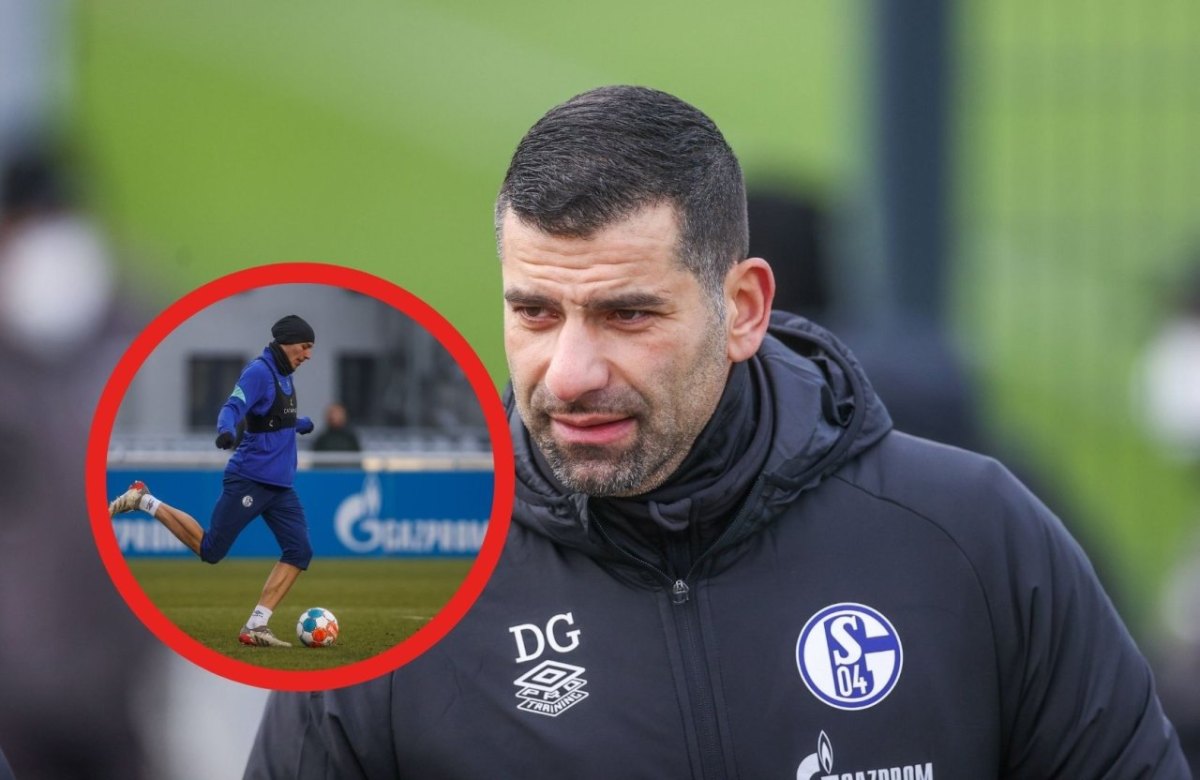 fc schalke becker.jpg