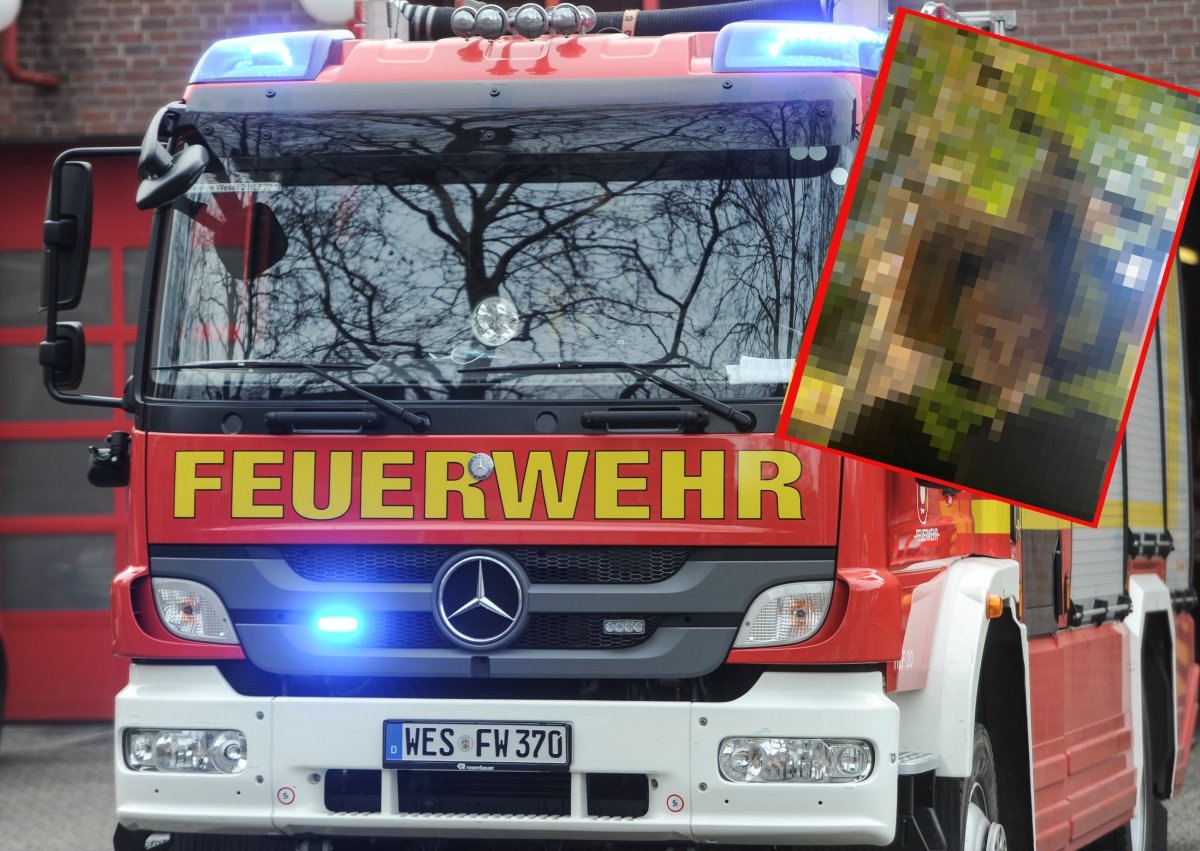 feuerwehr eule.JPG