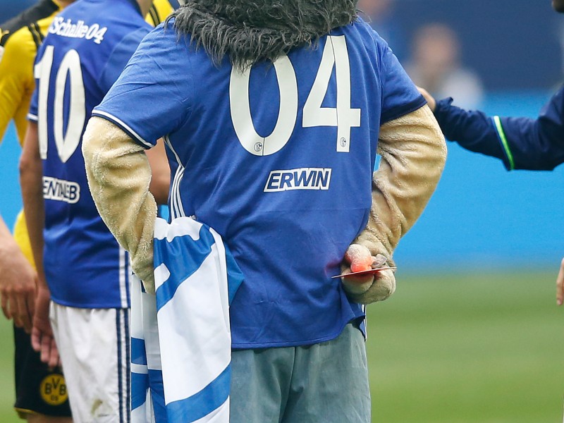 ...eine rote Karte. Kurz danach ist es so weit. Das Schalke-Maskottchen...