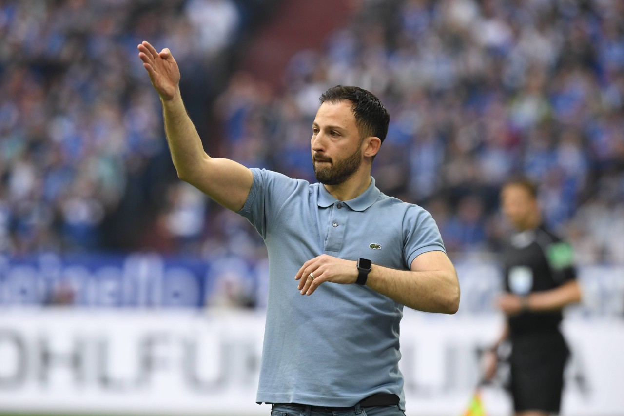 Domenico Tedesco lebte 90 Minuten lang das Derby intensiv an der Seitenlinie.