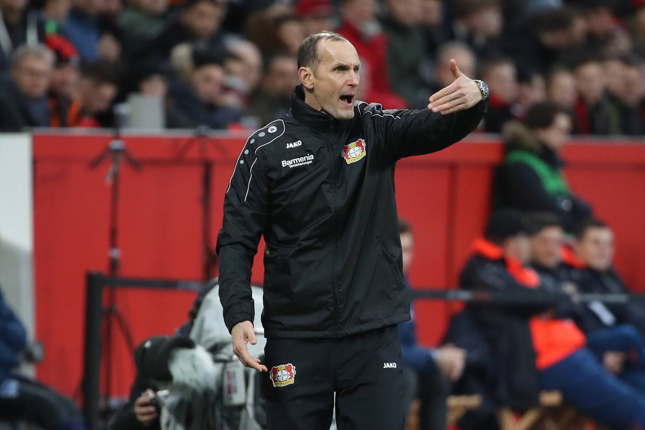 Heiko Herrlich war bis Dezember Trainer bei Bayer Leverkusen.