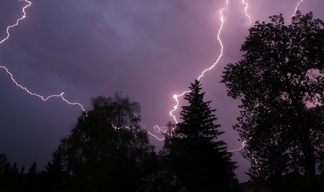 Ein Gewitter wird einem Hund und seinem Herrchen zum Verhängnis. Beide sterben. (Symbolbild)