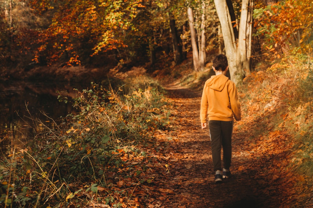 Der Junge wollte im Wald einen Schatz suchen. (Symbolbild)