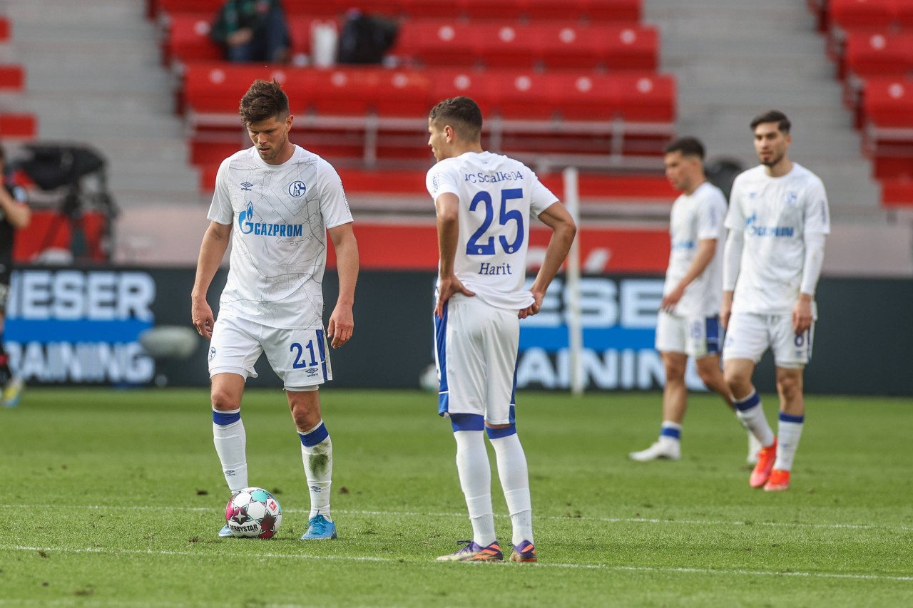 Beim FC Schalke 04 haben die Fans plötzlich nur noch einen einzigen Wunsch.