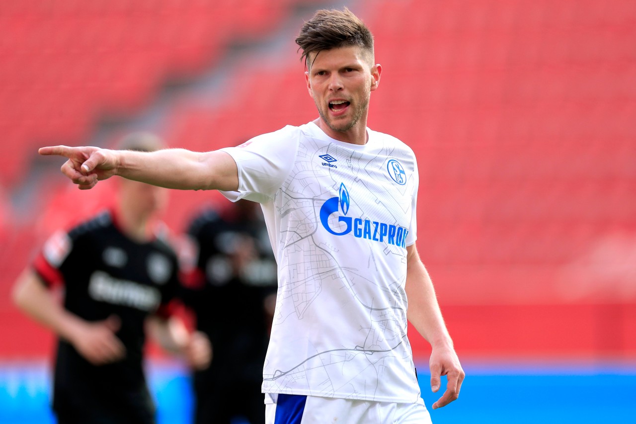 Klaas-Jan Huntelaar: Ein wichtiger Leader für die zweite Liga beim FC Schalke 04?