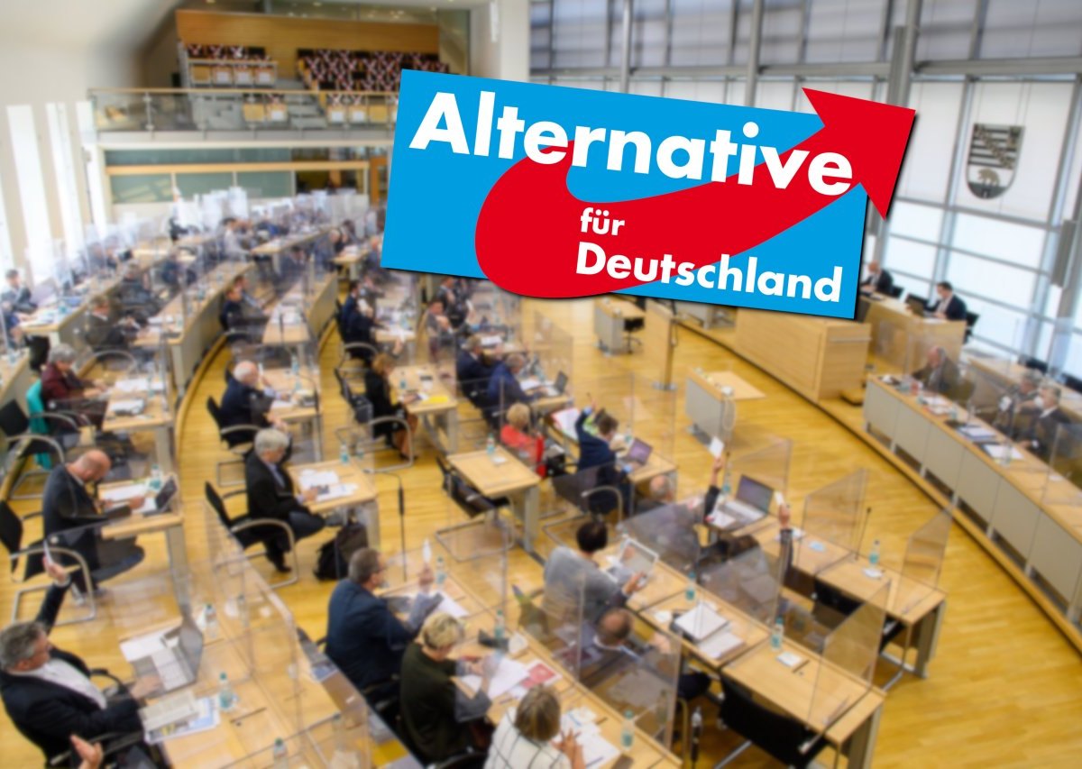 landtagswahl afd.jpg
