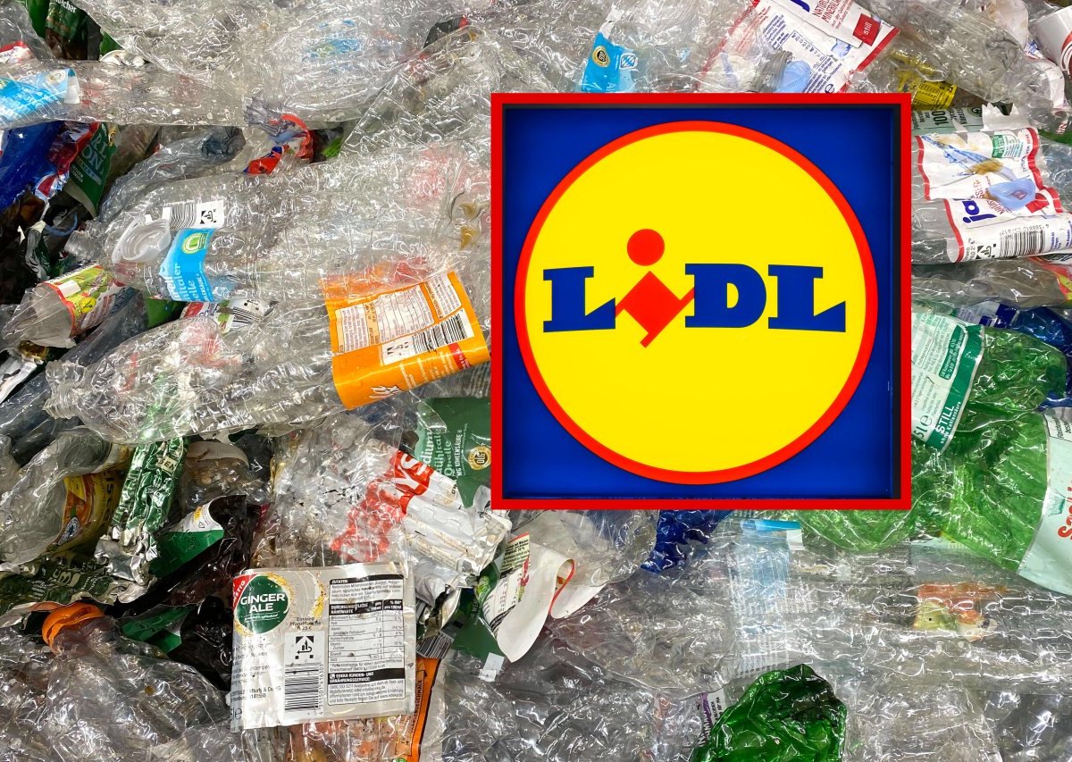 lidl.jpg