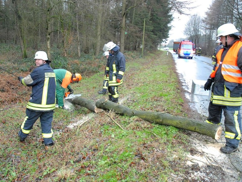 ...Haltern und Reken stürzte ein Baum auf Straße und Telefonleitung. In der Essener Innenstadt...