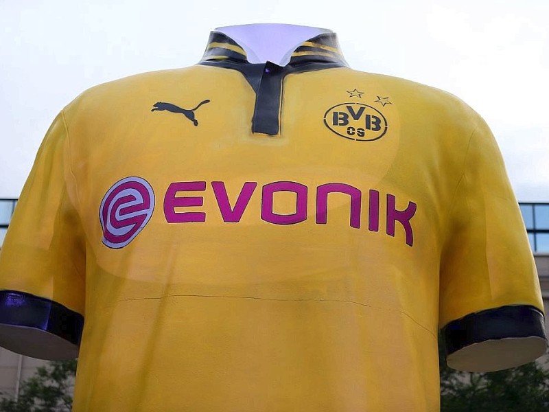 So sieht das neue Trikot von vorne aus,...