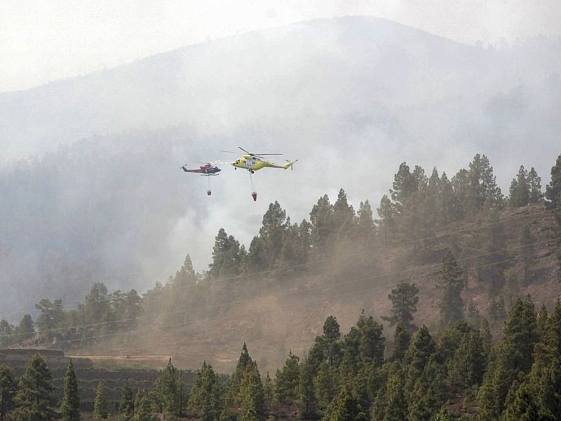 Waldbrand auf Teneriffa.