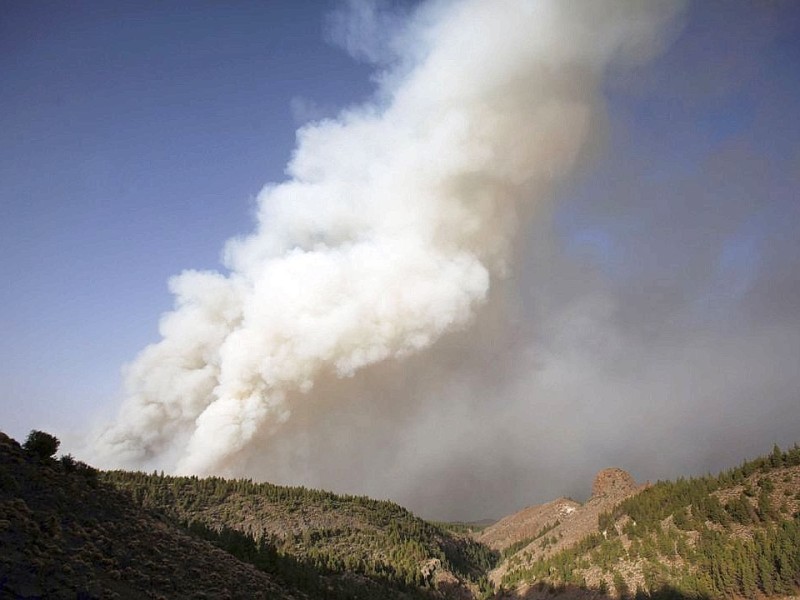 Waldbrand auf Teneriffa.