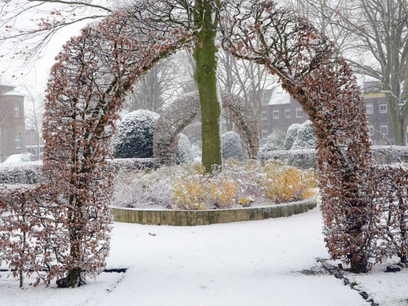 Schneebilder aus Rees, Stadtgarten, 7.12.2012Foto: Konrad Flintrop / WAZ FotoPool