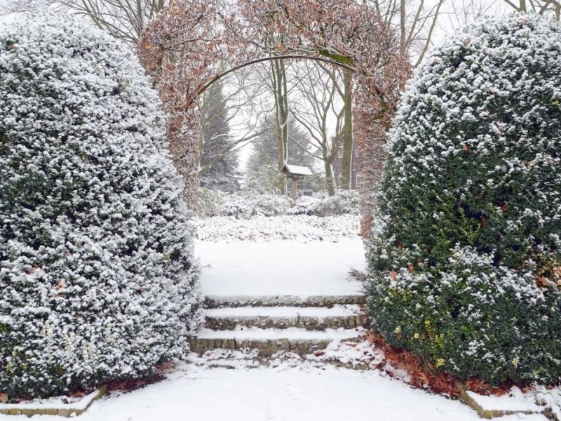 Schneebilder aus Rees, Stadtgarten, 7.12.2012Foto: Konrad Flintrop / WAZ FotoPool