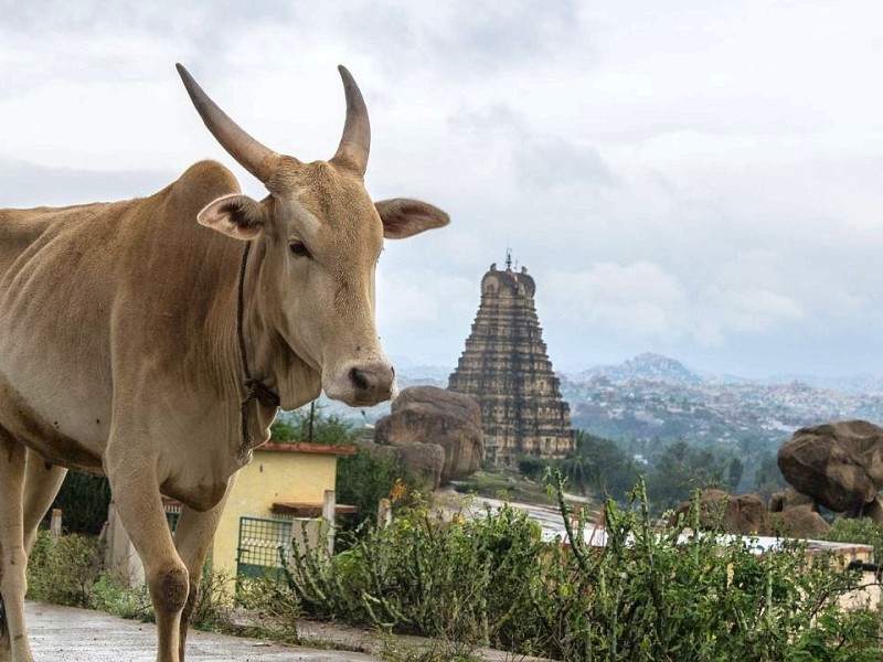 Lizzy Geble aus Hagen fotografiert und filmt derzeit in Indien für die Unesco.