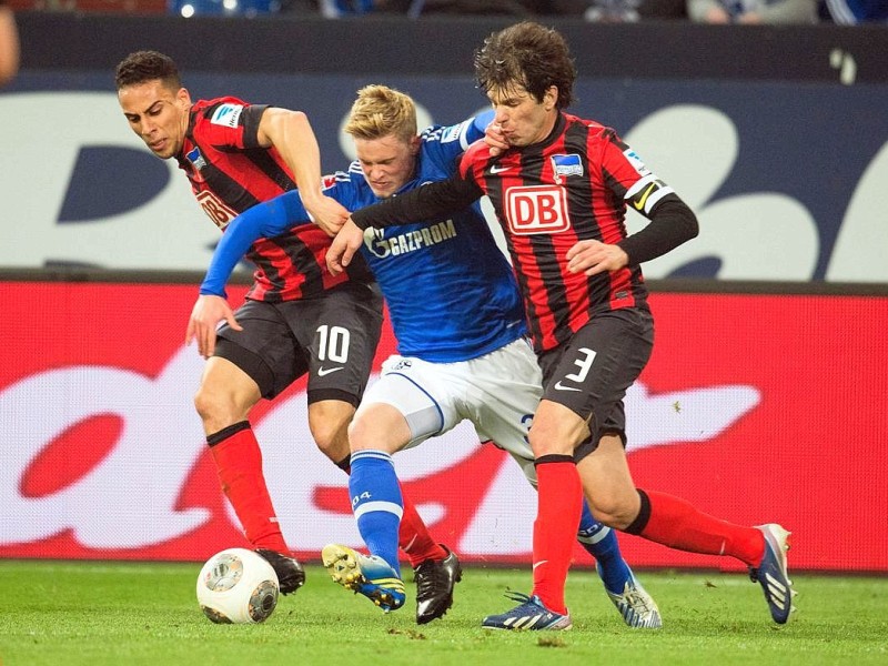 Die königsblauen Tore erzielten Chinedu Obasi und Klaas-Jan Huntelaar.