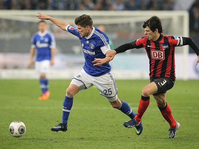 Die königsblauen Tore erzielten Chinedu Obasi und Klaas-Jan Huntelaar.