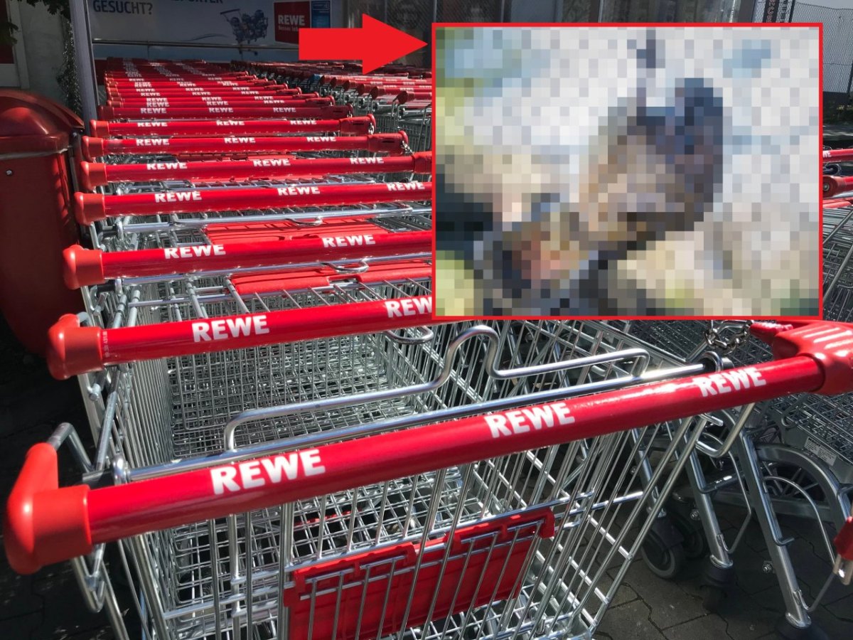 rewe.jpg