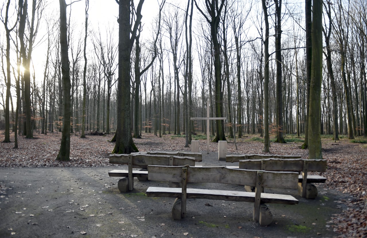 In diesem Wald wurde Rudi Assauer beigesetzt