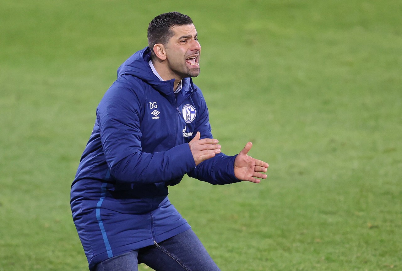 Dimitrios Grammozis will den FC Schalke 04 schnellstmöglich zurück in die Erfolgsspur bringen.