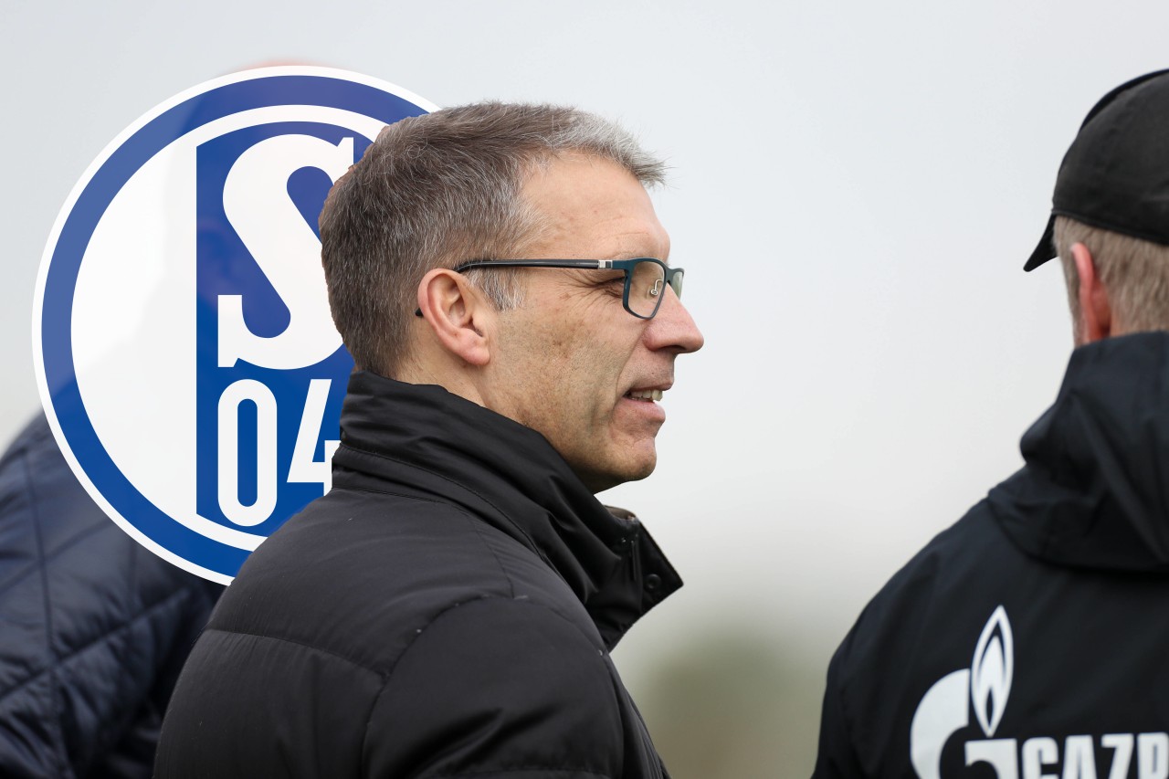 Stehen bei Schalke 04 zwei weitere Abgänge bevor?