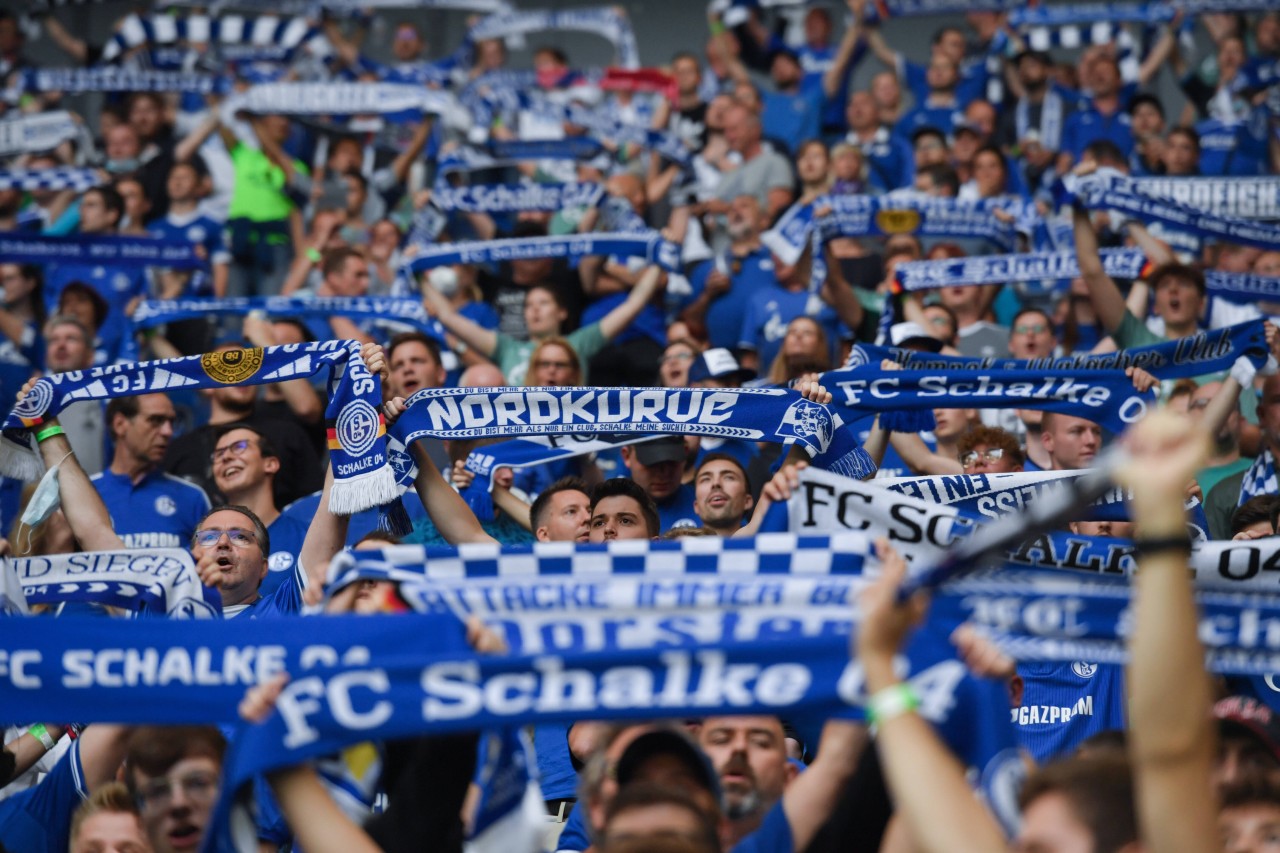 Über 56.000 Fans werden am Samstag in der Arena erwartet.