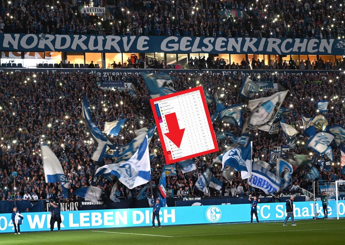 schalke-fans