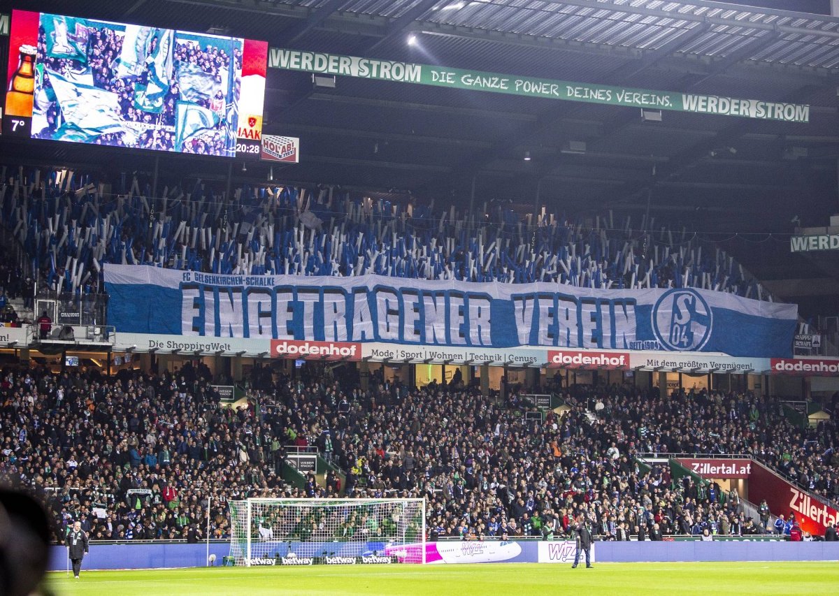 schalke-fans