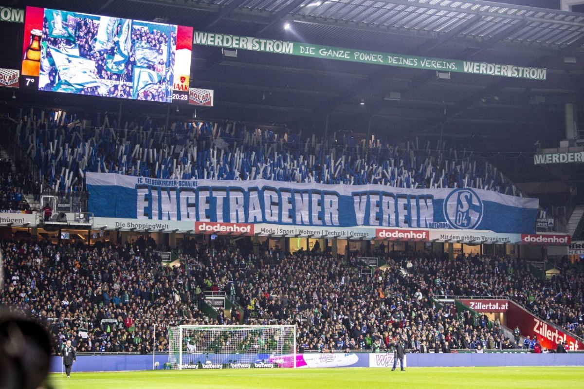 schalke-fans