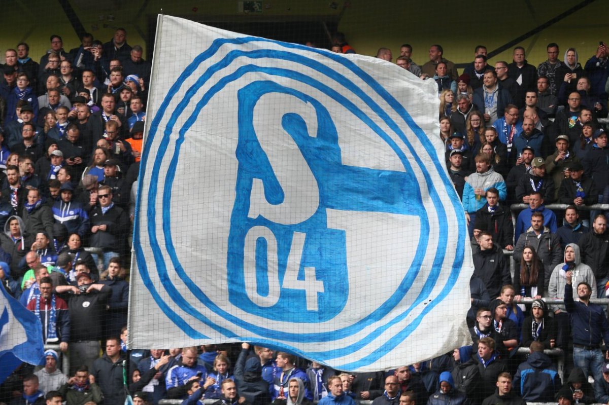 schalke-fans-antrag