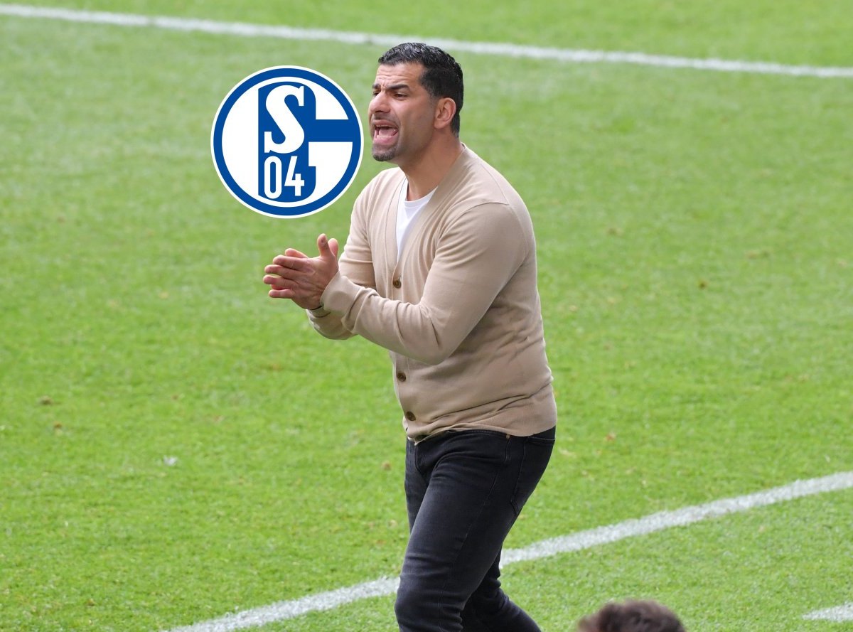 schalke-grammozis.jpg