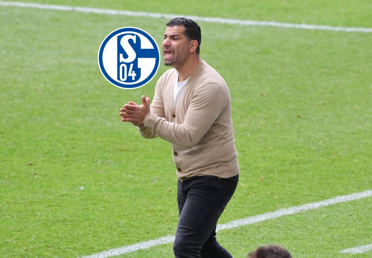 schalke-grammozis.jpg