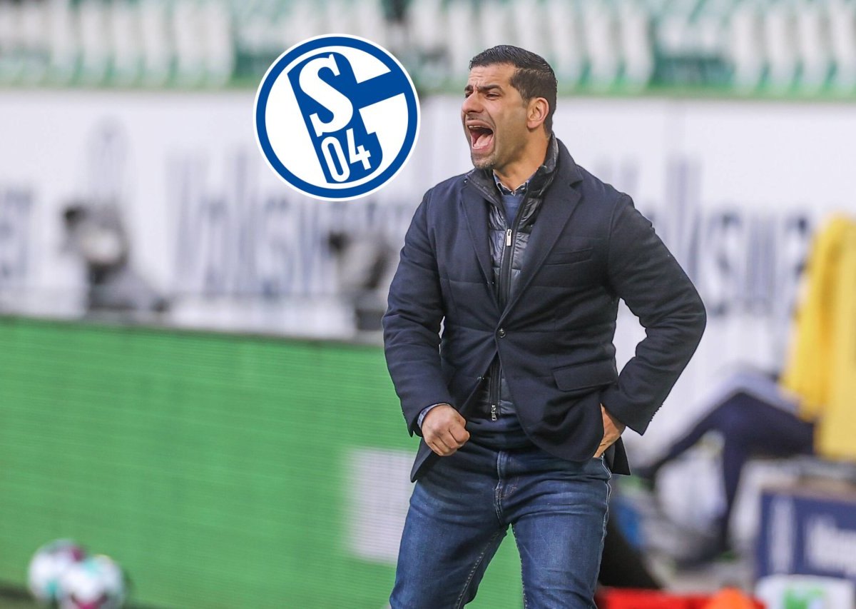 schalke-leverkusen-grammozis